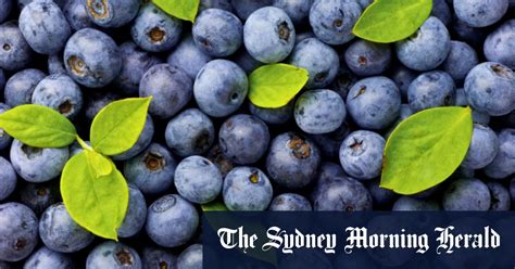 why are blueberries so cheap right now